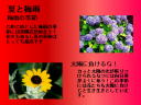 3 y[W