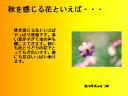 4 y[W