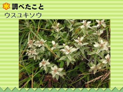 3y[W