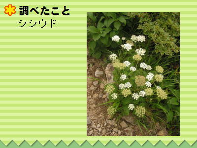 4y[W
