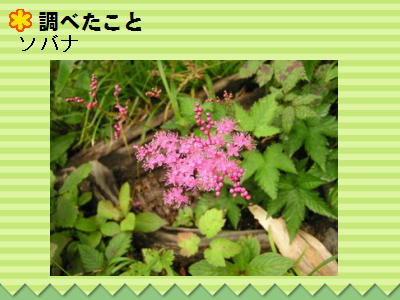 5y[W