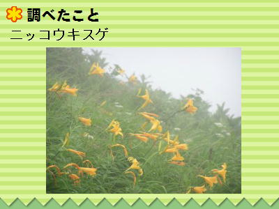 10y[W