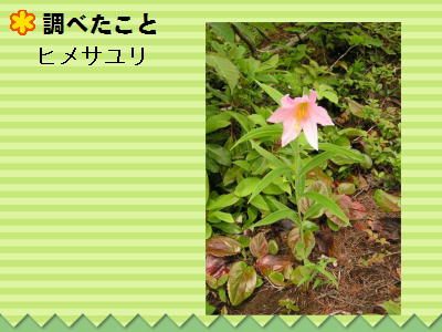 11y[W