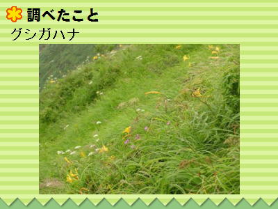 12y[W