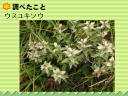 3 y[W