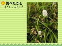 6 y[W