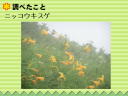 10 y[W