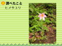 11 y[W