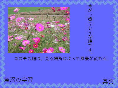 4y[W