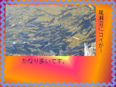 7y[W