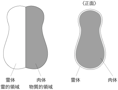 ホリスティック医学の身体観