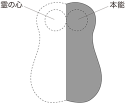 霊の心と肉の心（本能）