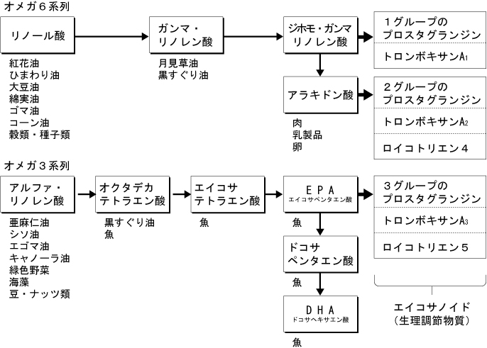 プロスタグランジンの生成過程と種類