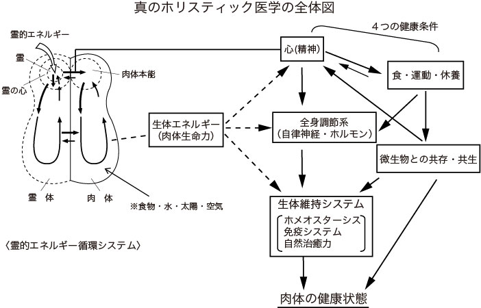 真のホリスティック医学の全体図