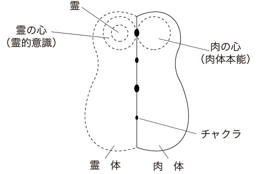 人体の構成要素