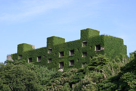 ツタのからまる建物