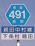 쌧491