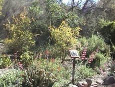 �{�C�X�E�g���v�\���B���A������