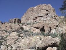 �{�C�X�E�g���v�\���B���A������