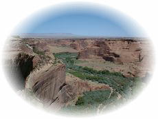 �L���j�I���E�f�E�V�F�C