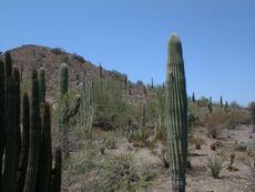 �����A����