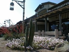 �X�R�b�c�f�[���E�_�E���^�E��