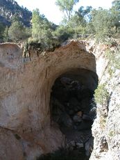 �g���g�E�i�`�������u���b�W�B������