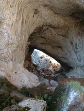 �����e�Y�[�}�E�E�F��