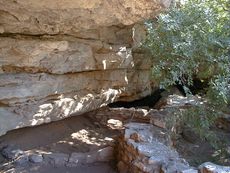 �����e�Y�[�}�E�E�F��