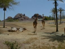 �t�F�j�b�N�X������