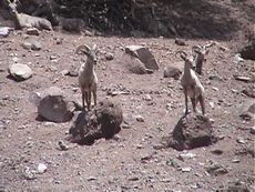 �t�F�j�b�N�X������