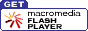 Flash Player Download