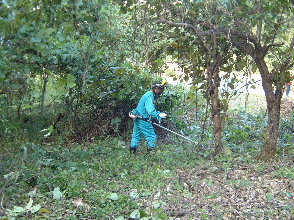 �T���v���C���[�W