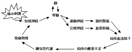 痛みの悪循環