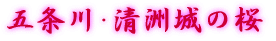 ܏쥐F̍