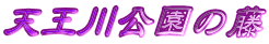 V̓ 
