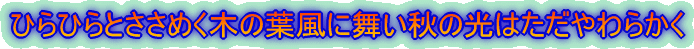 ひらひらとささめく木の葉風に舞い秋の光はただやわらかく