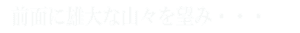 悤ARe[W@iK[fߐ{