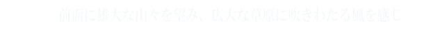 悤ARe[W@iK[fߐ{