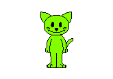 cat
