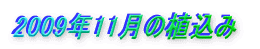 2009N11̐A