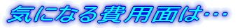 CɂȂpʂ́c