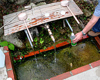 ���������݂܂��傤