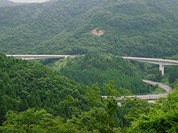 �傫�߂��Ĉꖇ�ɓ���܂���