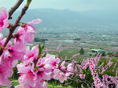 �Ԓ��R�t�߂���̒���