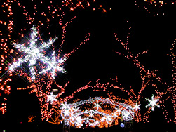 �C���~�l�[�V�����X�g���[�g