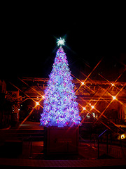 ������̃N���X�}�X�c���[