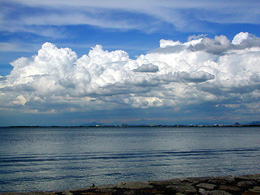 �ɂ��̕l�����i��