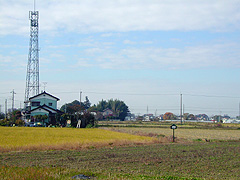 �R�������i