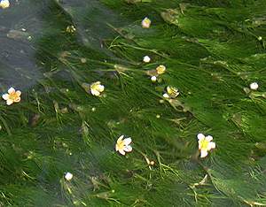 �~�ԑ������